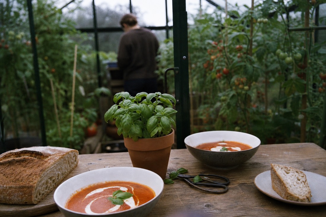 Bowls of tomato soup and fresh bread on a wooden table between tomato vines at Friðheimar
