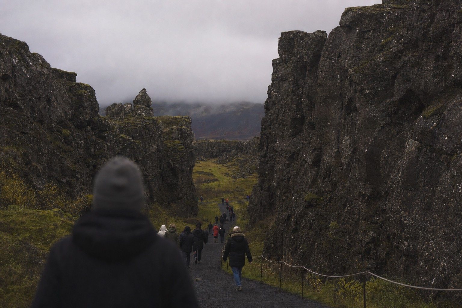 Rock walls of the Almannagjá gorge at Þingvellir under low cloud, with the walking path winding between the basalt cliffs