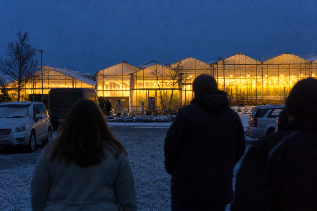 Warm light of the Friðheimar greenhouses glowing against a dark winter dusk sky