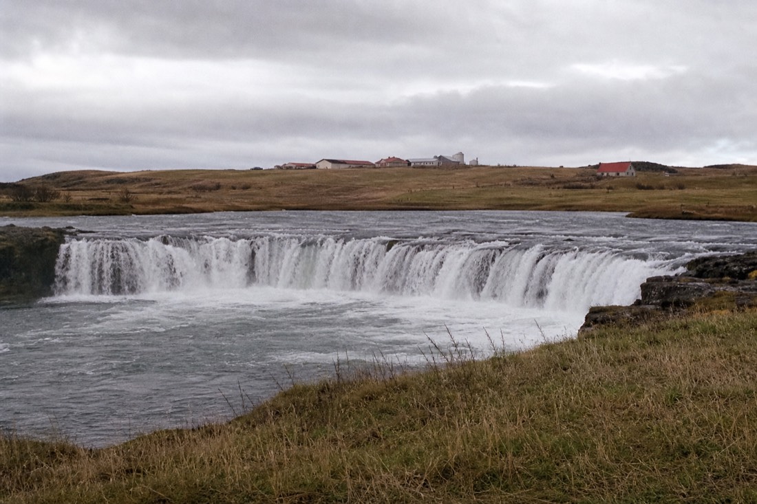 The wide low curtain of Faxi waterfall on the Tungufljót river seen from the grassy bank